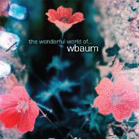 The Wonderful World of... Wbaum